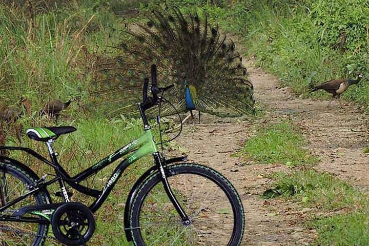 Cycling the Lowlands of Nepal: Tharu Villages & Lothar Dam Ride near Chitwan