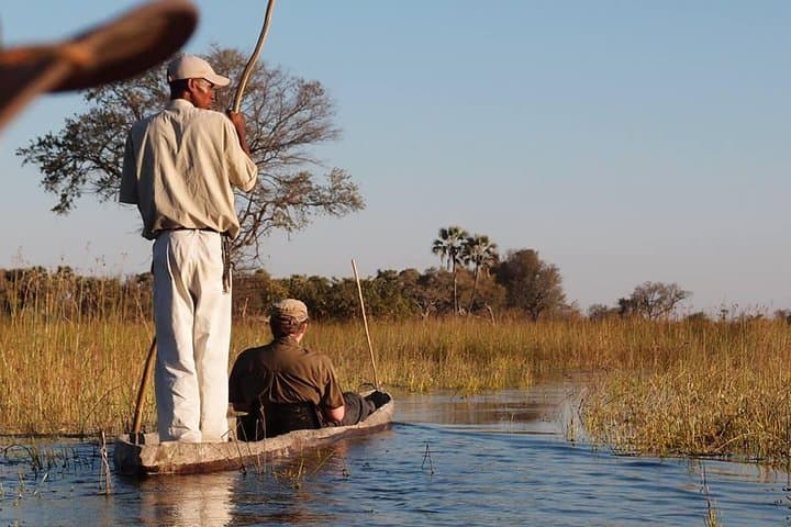 11-Day Botswana Safari: Okavango Delta, Moremi, Khwai, Savute & Chobe