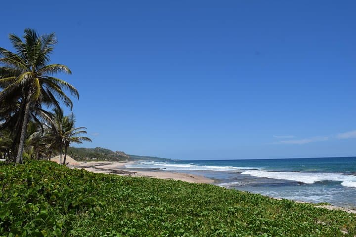 Barbados Island Highlights: Half-Day Coastal and Cultural Tour photo 6