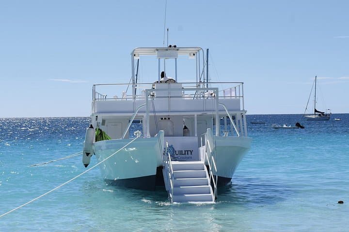 Harrison's Cave Tram and Carlisle Bay Snorkel — Swim with Turtles in Barbados photo 3