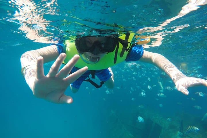 Harrison's Cave Tram and Carlisle Bay Snorkel — Swim with Turtles in Barbados photo 5