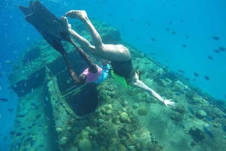 Harrison's Cave Tram and Carlisle Bay Snorkel — Swim with Turtles in Barbados photo 6