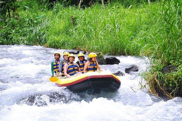 Ayung River White-Water Rafting near Ubud — Half-Day Trip with Transfer & Lunch photo 2