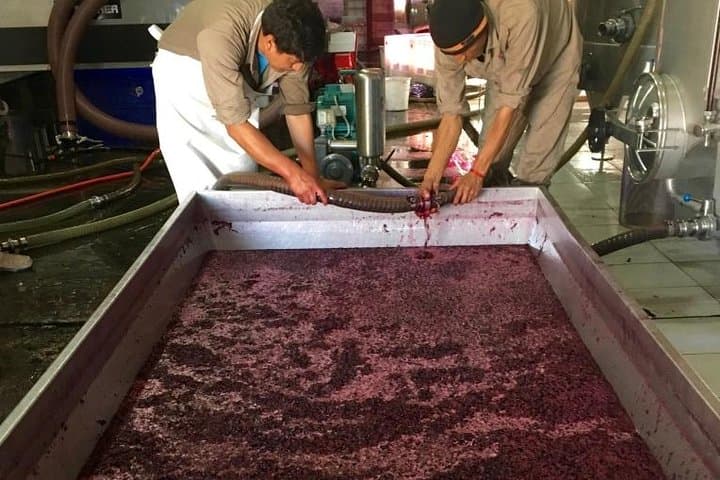 High-Altitude Wines and Red Rock Canyons: Private Day Tour to Cafayate Vineyards photo 2
