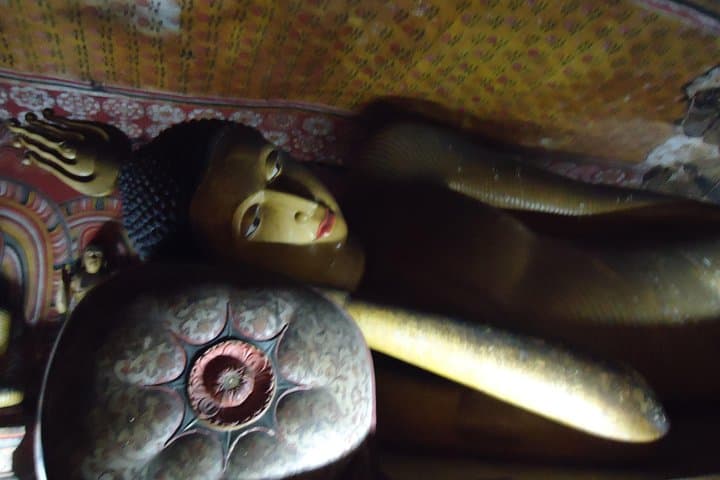Sigiriya & Dambulla Day Trip from Kandy: Climb Lion Rock and Explore the Golden Cave Temple photo 5