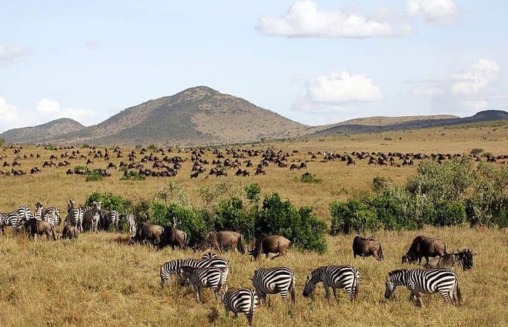 4-Day Amboseli and Naivasha Safari: Elephants, Kilimanjaro Views & Hells Gate photo 4