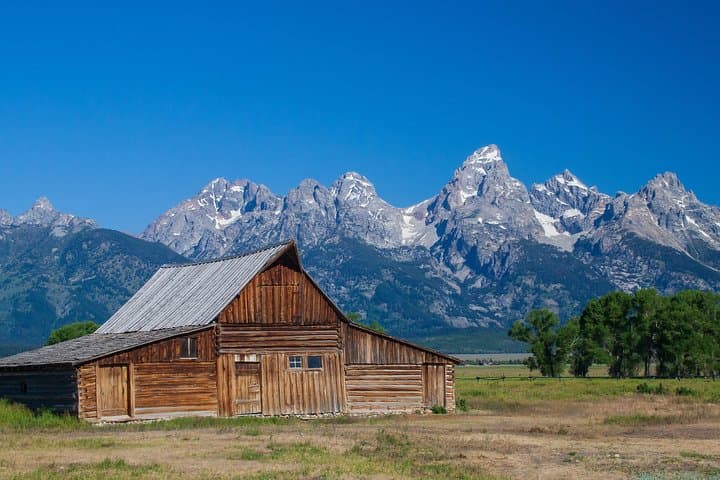 Private Grand Teton Wildlife Safari: Full-Day Guided Tour from Jackson Hole