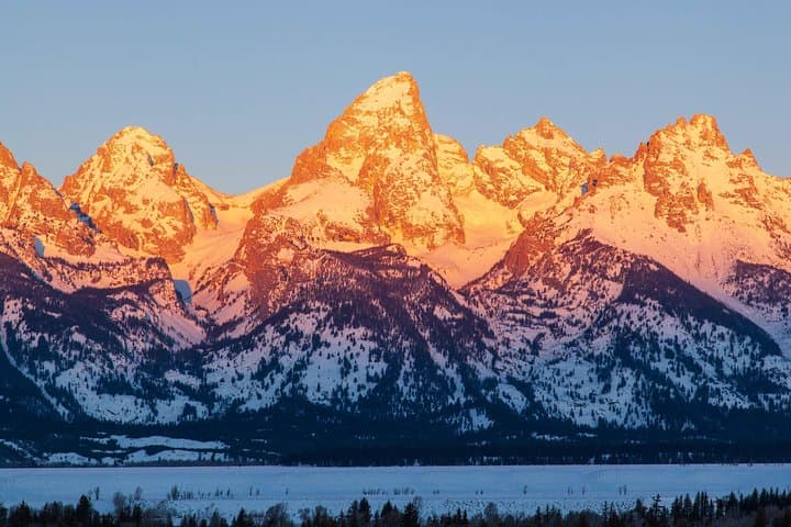 Jackson Hole Wildlife Safari — Best of Winter Elk, Bison & Optional Sleigh Ride photo 5