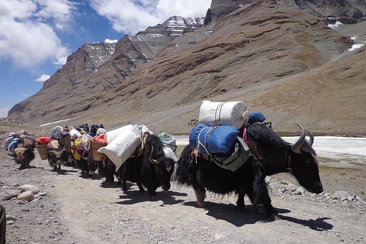 Mount Kailash Pilgrimage Trek via Simikot — 22-Day High-Altitude Circuit photo 6