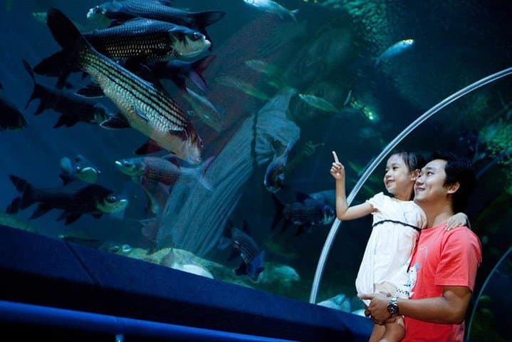 Pattaya Underwater World: Aquarium Admission with Return Transfer