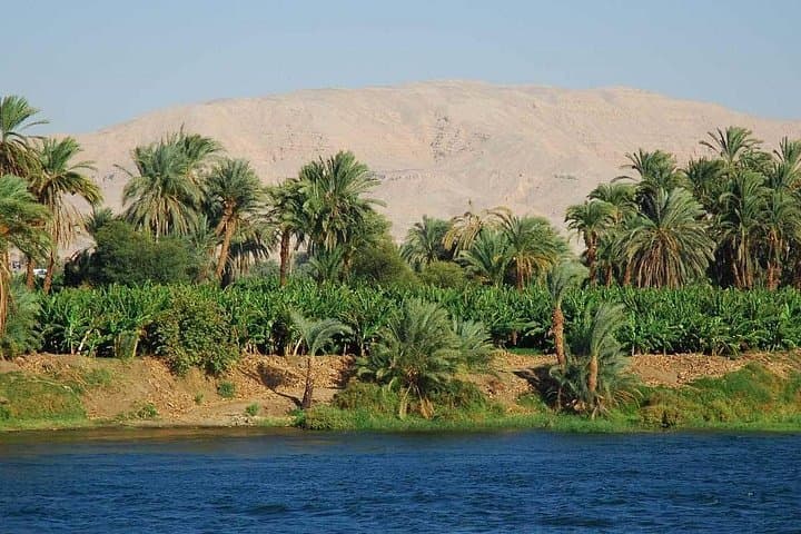 Full-Day Felucca Sail from Aswan: Elephantine & Kitchener's Island Sunset Cruise photo 4