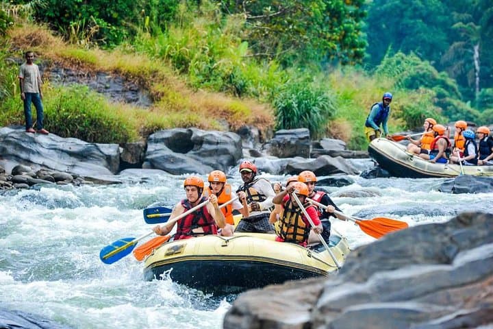 Whitewater Rafting on the Kelani River: Kitulgala Day Trip from Colombo photo 3