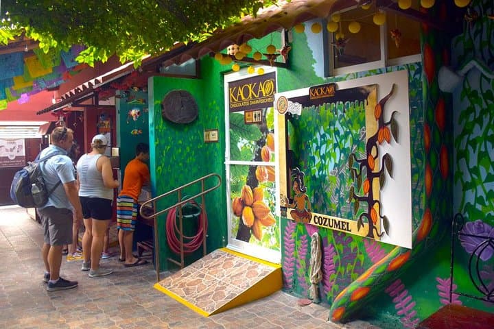 Cozumel Private Shore Tour: 5-Hour Driver-for-the-Day with Snorkeling & Ruins photo 4