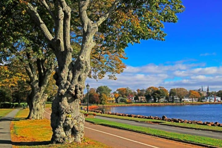 Charlottetown Shore Excursion — Highlights & Delights in One Hour photo 2