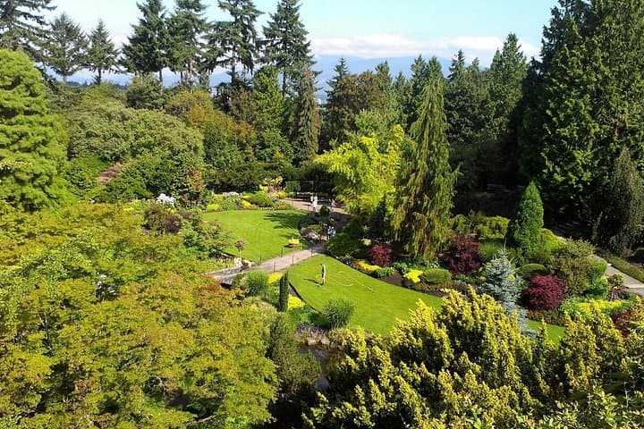 Best of Vancouver: Private Full-Day City and Gardens Tour photo 4