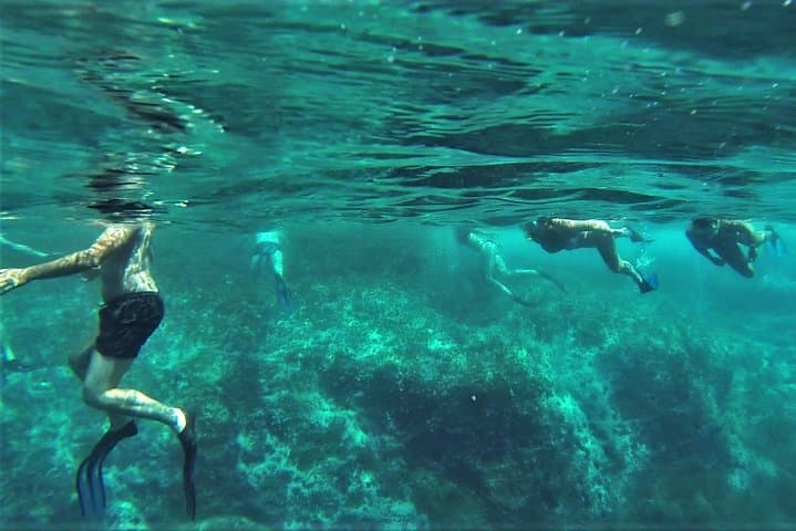 Summer Snorkeling on Terceira’s South Coast with Water4fun photo 5
