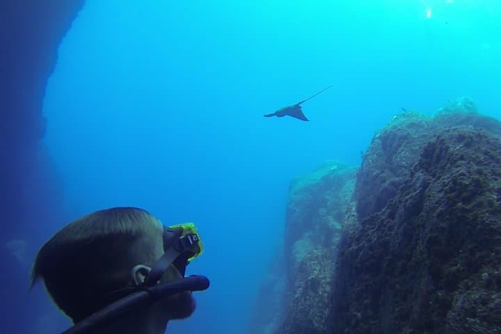Summer Snorkeling on Terceira’s South Coast with Water4fun photo 3