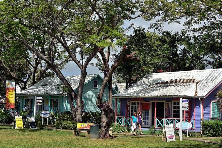 Barbados Coast-to-Coast Half-Day: Bathsheba to Holetown Scenic Drive photo 1