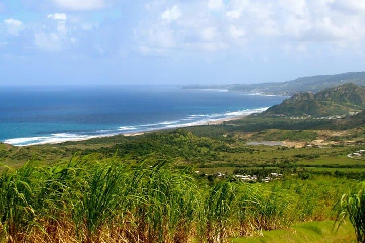 Barbados Coast-to-Coast Half-Day: Bathsheba to Holetown Scenic Drive photo 2