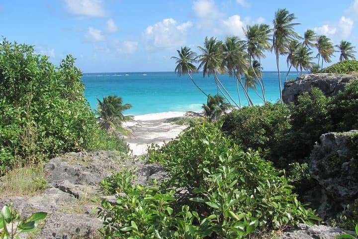 Barbados Coast-to-Coast Half-Day: Bathsheba to Holetown Scenic Drive photo 3