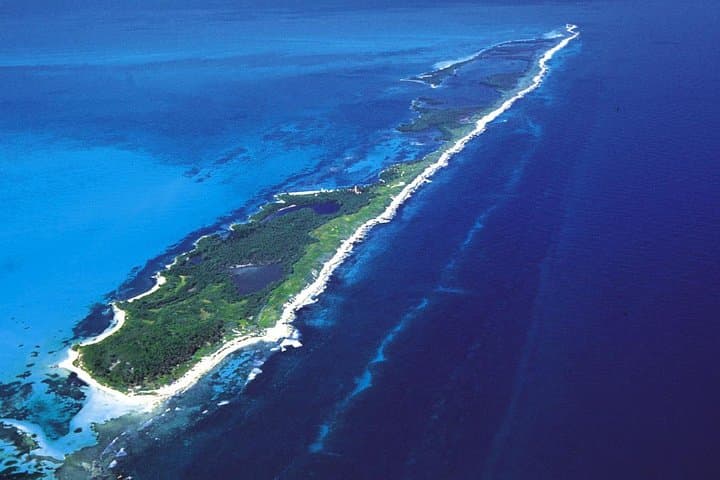 Isla Contoy Eco-Adventure: Snorkel Ixlaché Reef & Isla Mujeres Day Trip from Cancun photo 4