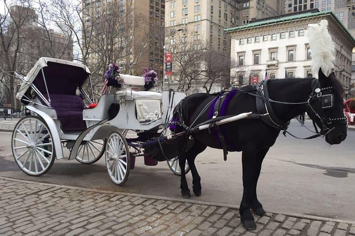Central Park Horse and Carriage Ride — 45-Minute Grand Tour from 59th Street photo 4
