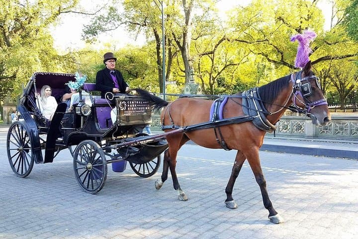 Central Park Horse and Carriage Ride — 45-Minute Grand Tour from 59th Street photo 2