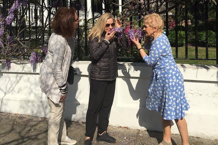 Private Charleston Walking Tour with a Local Guide — Historic District Highlights photo 2