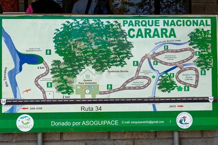 Carara National Park Birdwatching: Private Guided Tour from Quepos photo 5