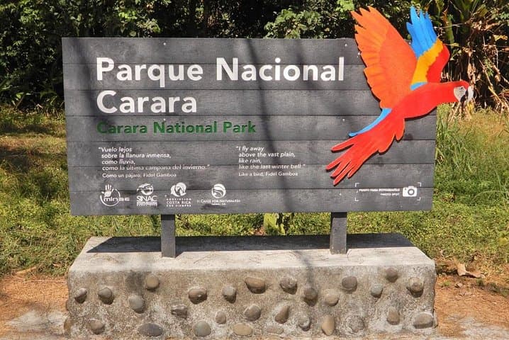 Carara National Park Birdwatching: Private Guided Tour from Quepos