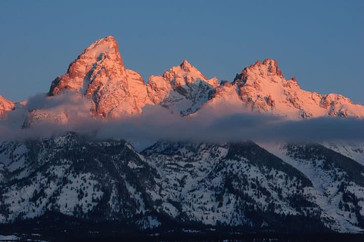 Half-Day Grand Teton Wildlife Safari from Jackson Hole — Private Winter & Year-Round Tours photo 2