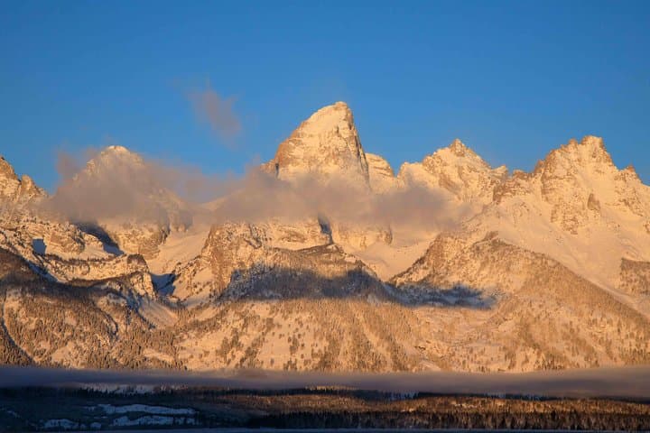 Half-Day Grand Teton Wildlife Safari from Jackson Hole — Private Winter & Year-Round Tours photo 6