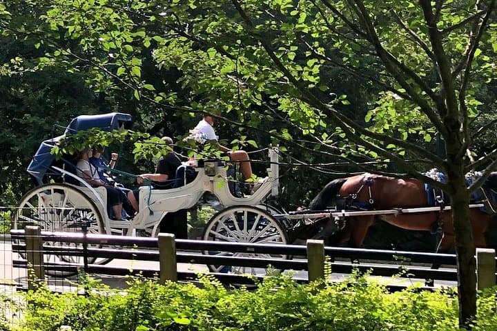 Central Park Horse and Carriage Ride — 45-Minute Grand Tour from 59th Street photo 3