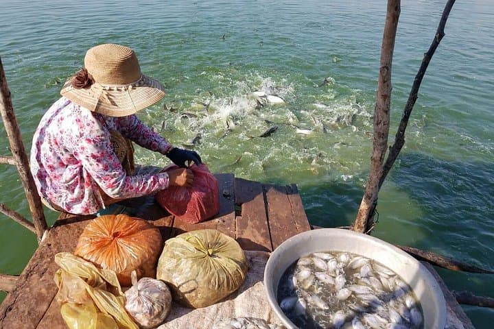 Siem Reap Village & Rice Fields Bicycle Tour — Local Markets, Pagodas and Khmer Meals photo 4