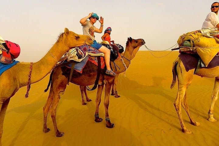 7-Day Private Romantic Rajasthan Tour: Udaipur, Jodhpur & Jaisalmer photo 3