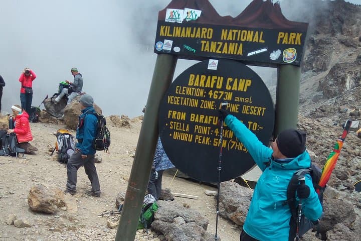 8-Day Lemosho Route: Kilimanjaro Summit Trek with Majali Tours photo 4