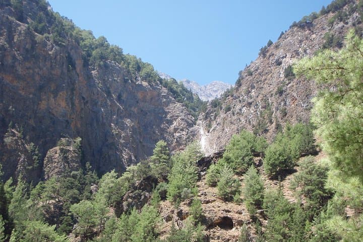 Samaria Gorge Transfer from Chania — Full-Day Access to Crete’s 16 km Gorge photo 3