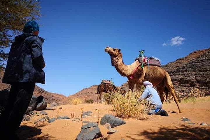 Overnight in Erg Chebbi: Camel Trekking, Bedouin Camps & Saharan Dunes photo 5