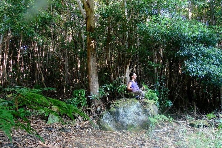 Forest Bathing on Terceira: Nature Therapy Walks in the Azores photo 4