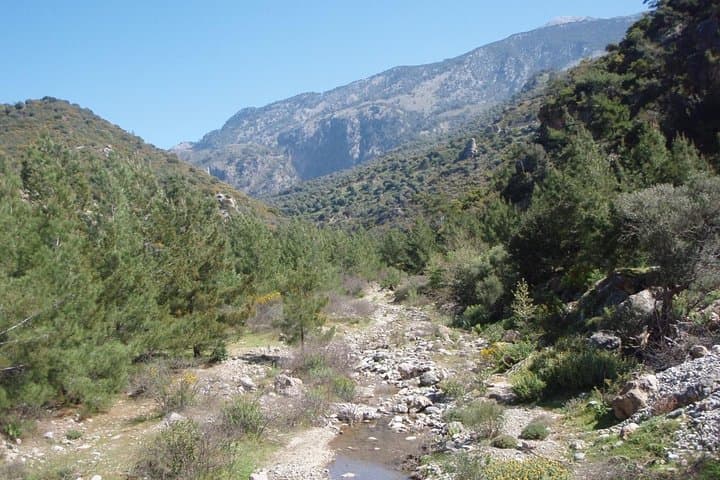 Agia Irini Gorge Hike: Private Day Tour from Chania to Sougia photo 3