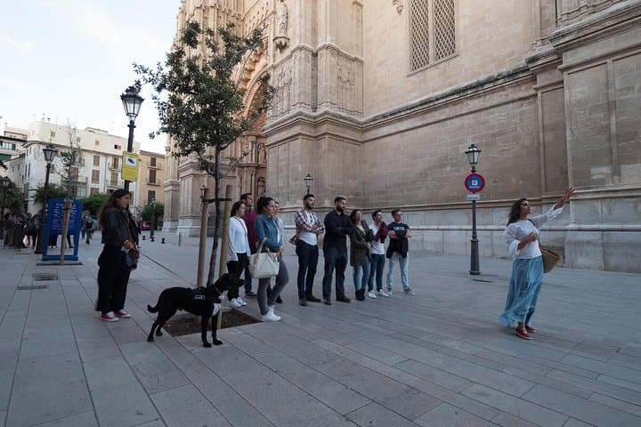 Explore Palma de Mallorca: Private Old Town Walking Tour with Local Guides photo 4