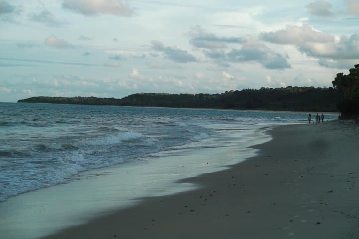 Porto Seguro Beach & Rainforest Horseback Ride — BBQ, Wildlife & Local Culture