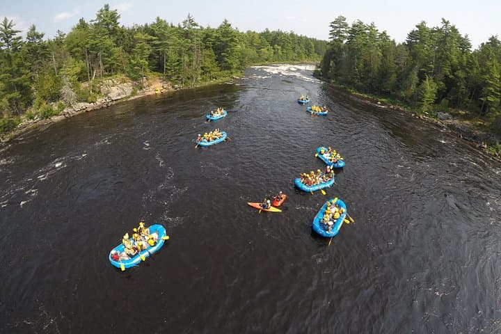 Family Rafting on the Ottawa River: Gentle Day Trip with BBQ Lunch photo 4