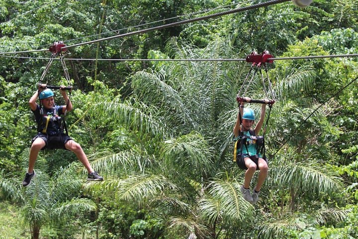 St. Kitts Zipline at Sky Safari — Wingfield Estate Canopy Tour photo 1