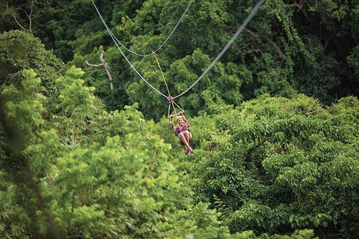 St. Kitts Zipline at Sky Safari — Wingfield Estate Canopy Tour photo 2
