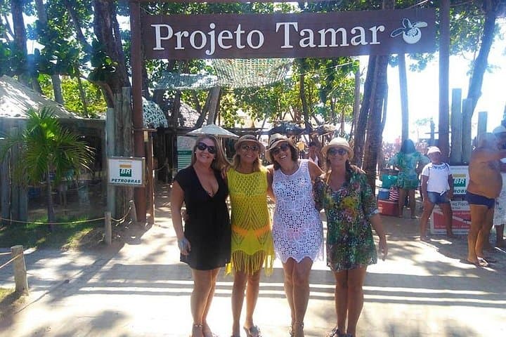 Praia do Forte Day Trip from Salvador — Tamar Project, Natural Pools & Beach Guide photo 4