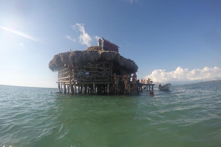 YS Falls, Black River Safari & Floyd’s Pelican Bar — Full-Day Negril Adventure photo 4