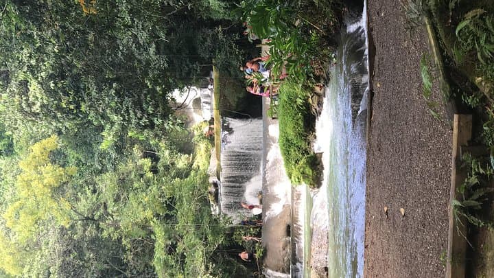 Explore YS Falls: Private Full-Day Waterfall Adventure with Pickup photo 2