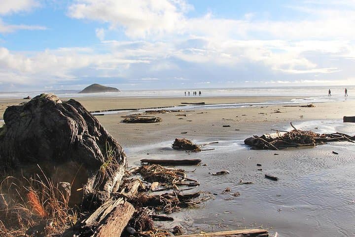 Private Vancouver to Tofino 2-Day Coastal Adventure photo 2