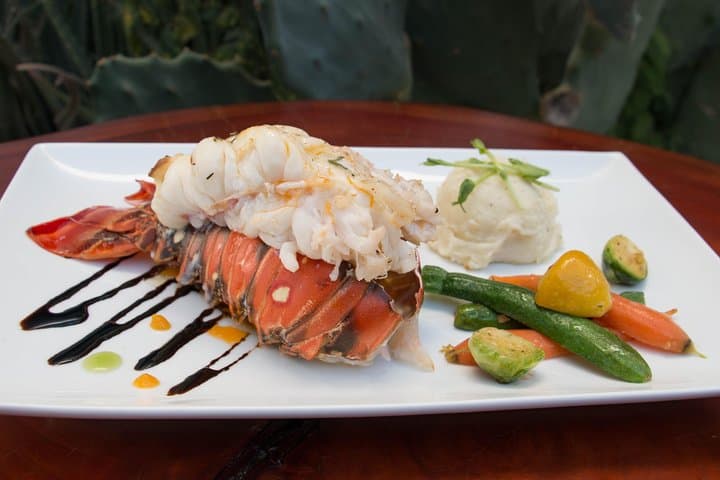 In-Villa Lobster Tail Dinner with Private Chef — Los Cabos Gourmet Experience
